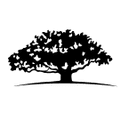 WisdomTree International Hedged Quality Dividend Growth Fund logo