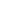 Li Auto Inc. logo