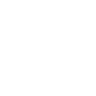 NetApp, Inc. logo