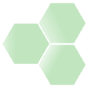 BioCorRx Inc. logo