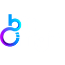BIT ORIGIN Ltd logo
